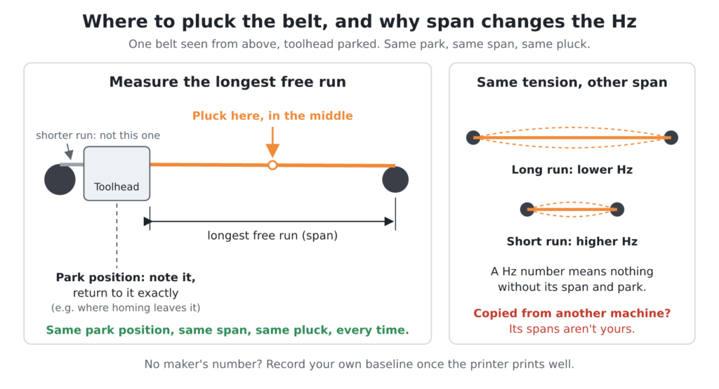 3D Printer Belt Tension: 3 Ways to Measure and the Best One to Trust 4 Diagram: Belt schematic: toolhead parked, longest free run marked with pluck point in middle; long span shows lower Hz than short.